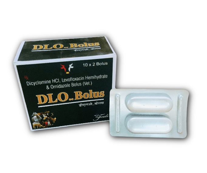 DLO Bolus